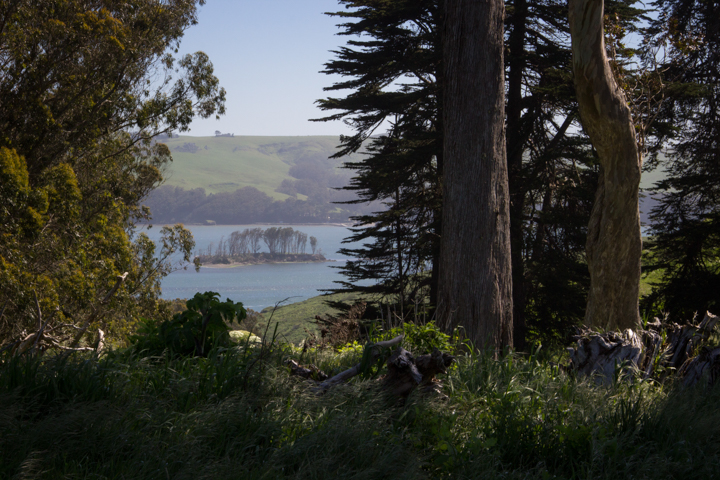 View of Tomales Bay from Point Reyes - SKU: CA_PR_0050